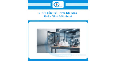 5 Điều Cần Biết Trước Khi Mua Rơ Le Nhiệt Mitsubishi