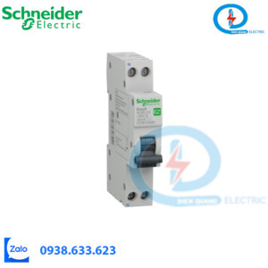 Cầu dao tích hợp chống dòng rò EZ9D33606 Schneider