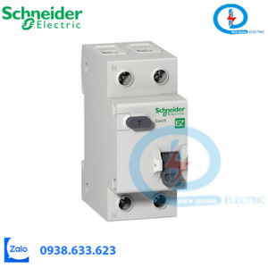 Cầu dao tích hợp chống dòng rò EZ9D34610 Schneider