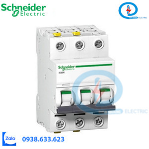 Cầu dao tự động A9F74306 Schneider