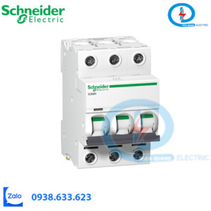 Cầu dao tự động A9F84306 Schneider