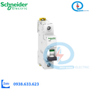 Cầu dao tự động A9F94106 Schneider