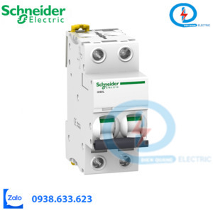 Cầu dao tự động A9F94206 Schneider