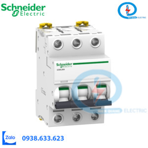 Cầu dao tự động A9F94306 Schneider