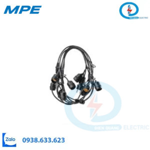 DÂY ĐUI ĐÈN TRANG TRÍ Seri DDCT10-20